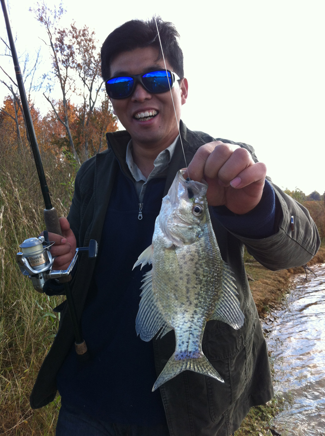 crappie fishing lures